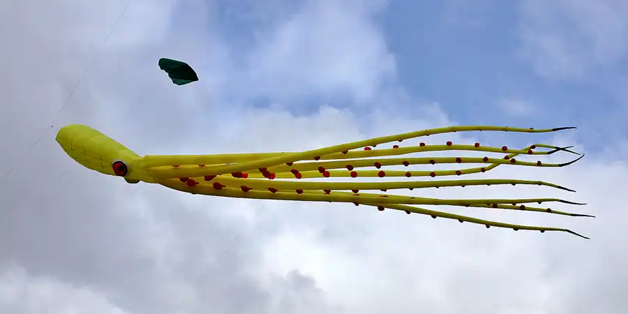 016 | 2022 | Berlin | Festival der Riesendrachen | © carsten riede fotografie