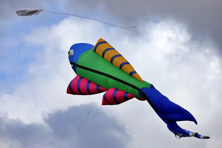 019 | 2022 | Berlin | Festival der Riesendrachen | © carsten riede fotografie