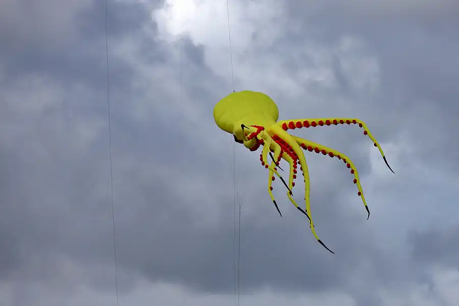 022 | 2022 | Berlin | Festival der Riesendrachen | © carsten riede fotografie