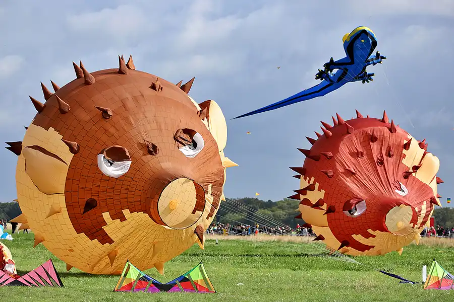 062 | 2022 | Berlin | Festival der Riesendrachen | © carsten riede fotografie