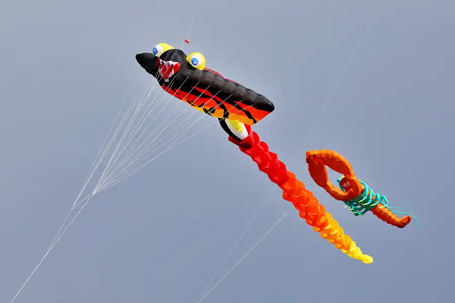 068 | 2022 | Berlin | Festival der Riesendrachen | © carsten riede fotografie