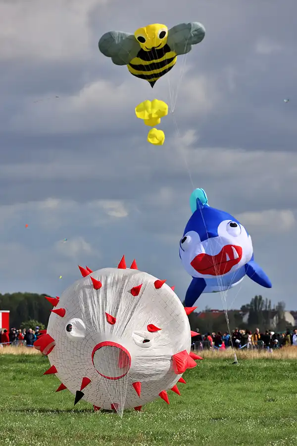 100 | 2022 | Berlin | Festival der Riesendrachen | © carsten riede fotografie