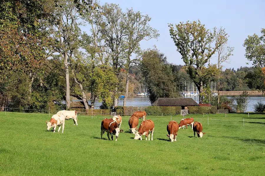 002 | 2022 | Chiemsee | Herreninsel | © carsten riede fotografie