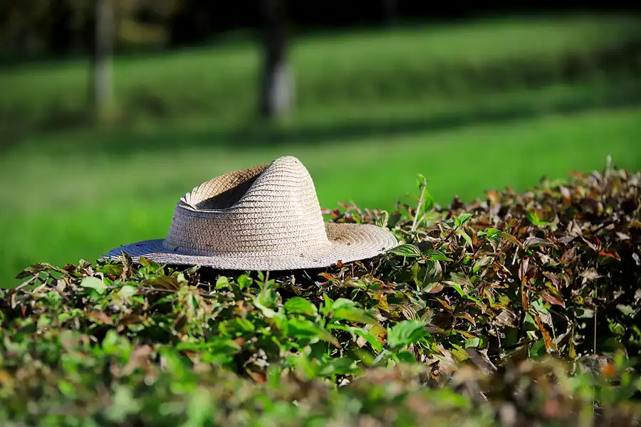 003 | 2022 | Chiemsee | Herreninsel | © carsten riede fotografie