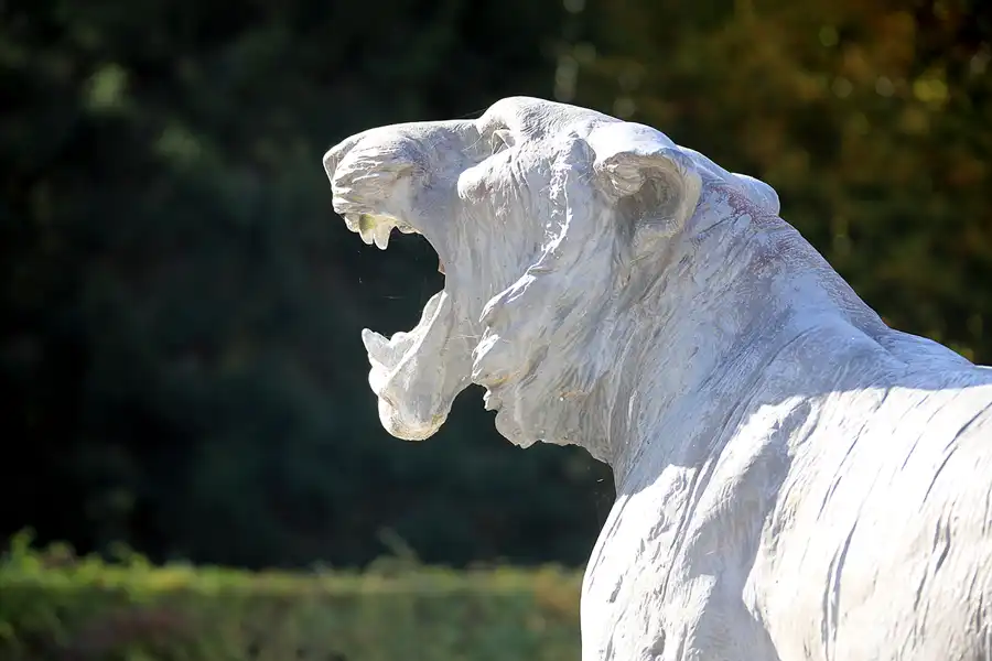 033 | 2022 | Chiemsee | Herreninsel | © carsten riede fotografie