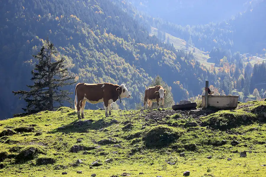 118 | 2022 | Flintsbach am Inn | © carsten riede fotografie