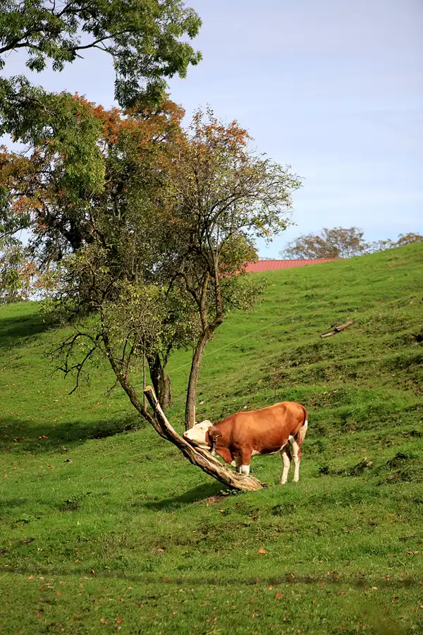 120 | 2022 | Litzldorf | © carsten riede fotografie