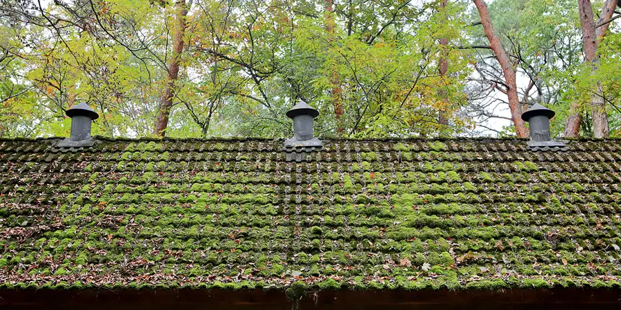 111 | 2022 | Kolkwitz | Lungenheilstätte Kolkwitz | © carsten riede fotografie