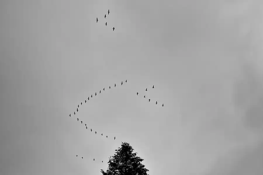 115 | 2022 | Kolkwitz | Lungenheilstätte Kolkwitz | © carsten riede fotografie