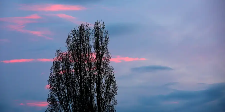 001 | 2023 | Berlin | Alt-Hohenschönhausen | © carsten riede fotografie