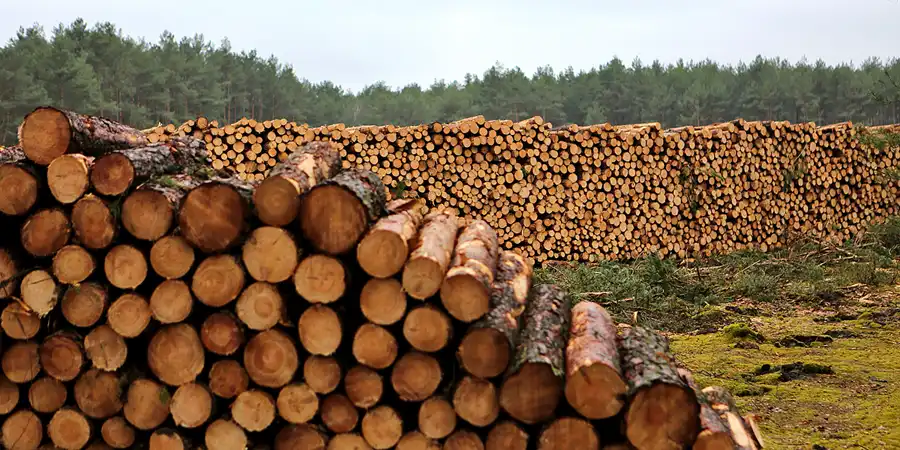 015 | 2023 | Orlina Duża | © carsten riede fotografie