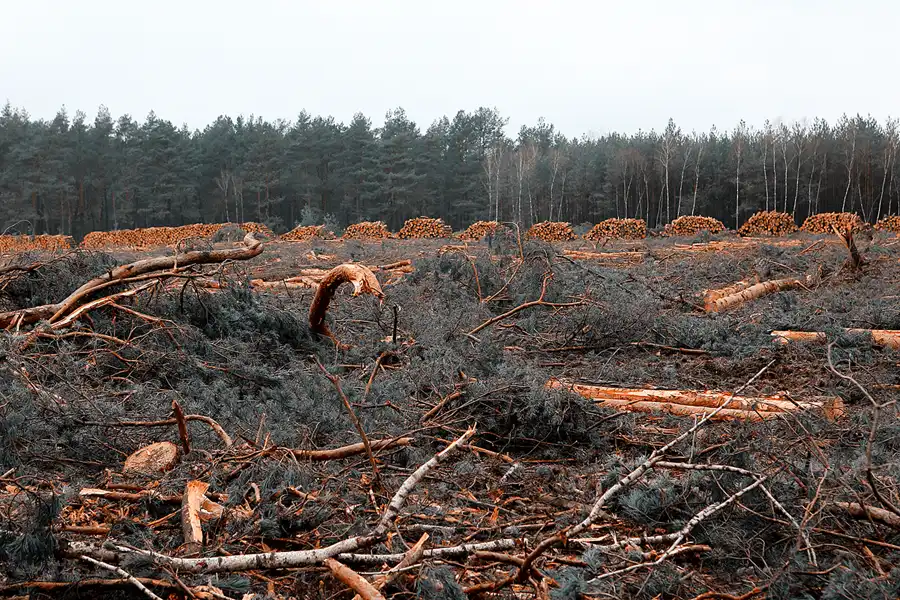 017 | 2023 | Orlina Duża | © carsten riede fotografie