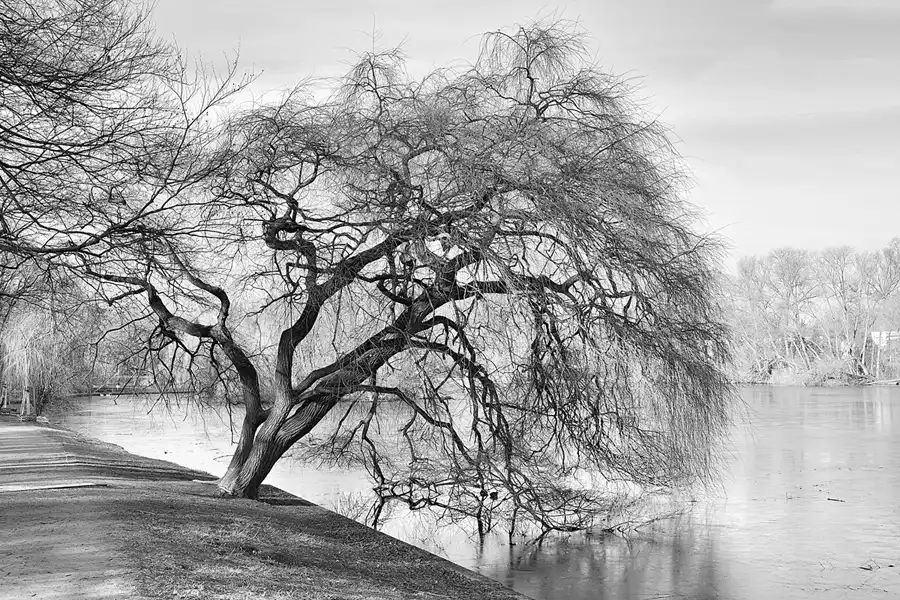 019 | 2023 | Berlin | Obersee-Orankesee-Park | © carsten riede fotografie
