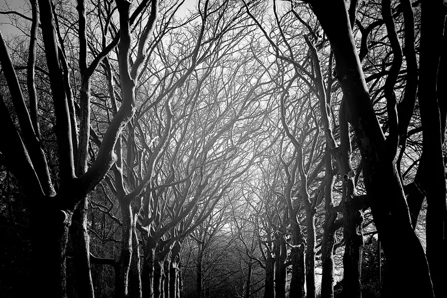 030 | 2023 | Berlin | Obersee-Orankesee-Park | © carsten riede fotografie