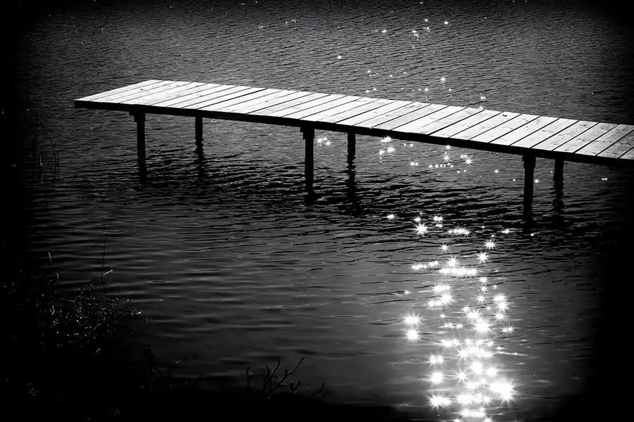 039 | 2023 | Berlin | Obersee-Orankesee-Park | © carsten riede fotografie