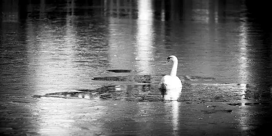 040 | 2023 | Berlin | Obersee-Orankesee-Park | © carsten riede fotografie