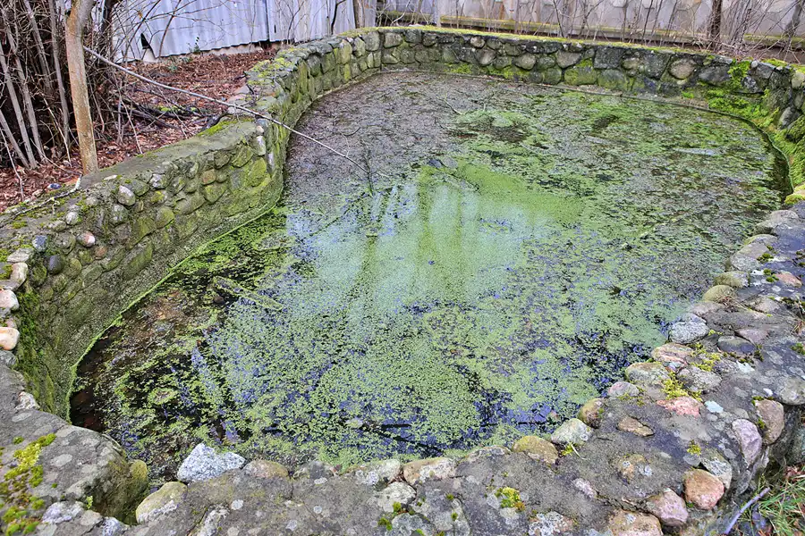 046 | 2023 | Wünsdorf-Waldstadt | Bunkeranlage Maybach I | © carsten riede fotografie