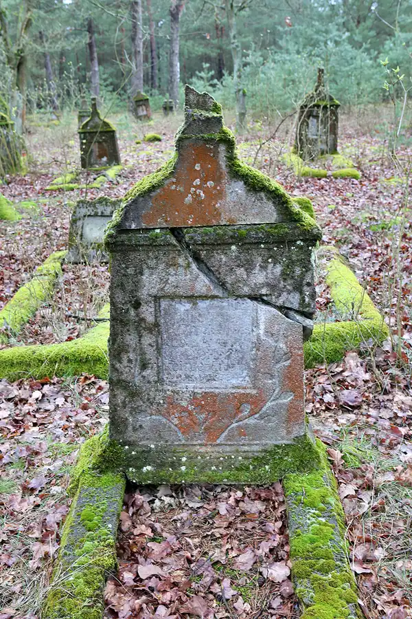 021 | 2023 | Orlina Duża | Cmentarz Ewangelicki | © carsten riede fotografie