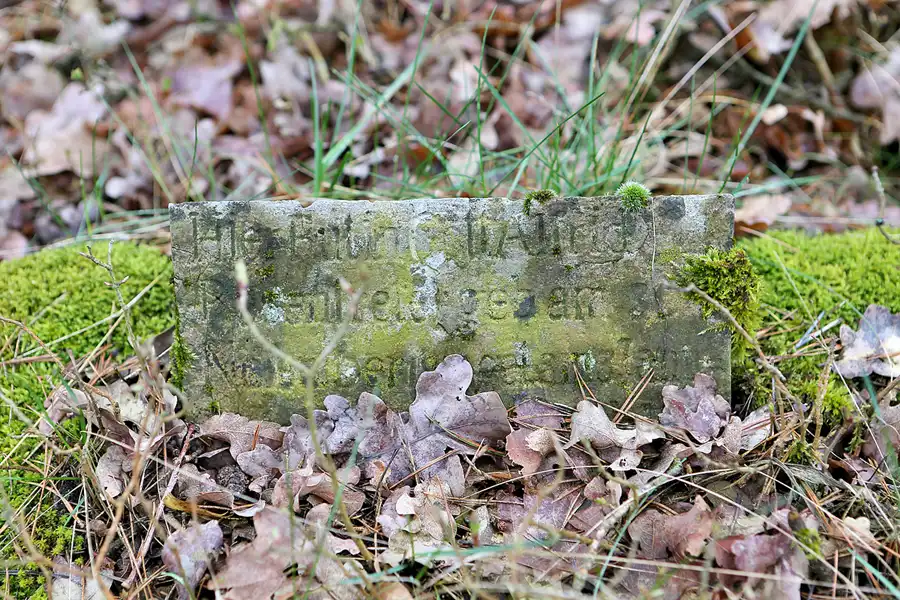 033 | 2023 | Orlina Duża | Cmentarz Ewangelicki | © carsten riede fotografie