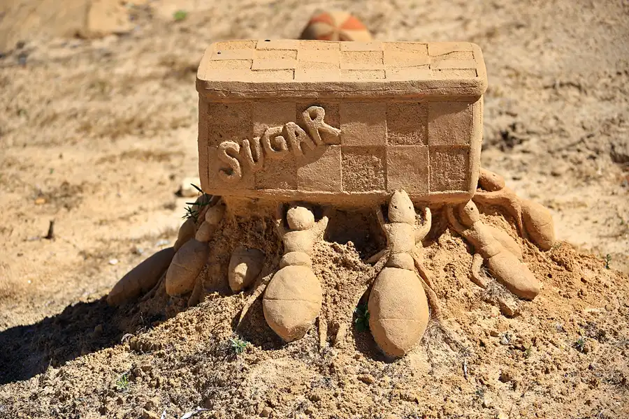 096 | 2023 | Lagoa | Sandcity | © carsten riede fotografie