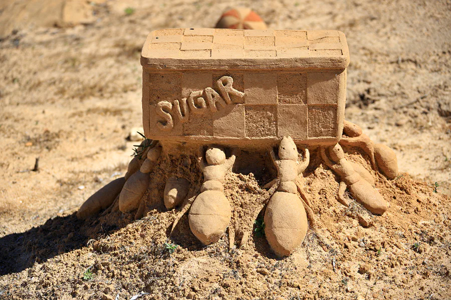 096 | 2023 | Lagoa | Sandcity | © carsten riede fotografie
