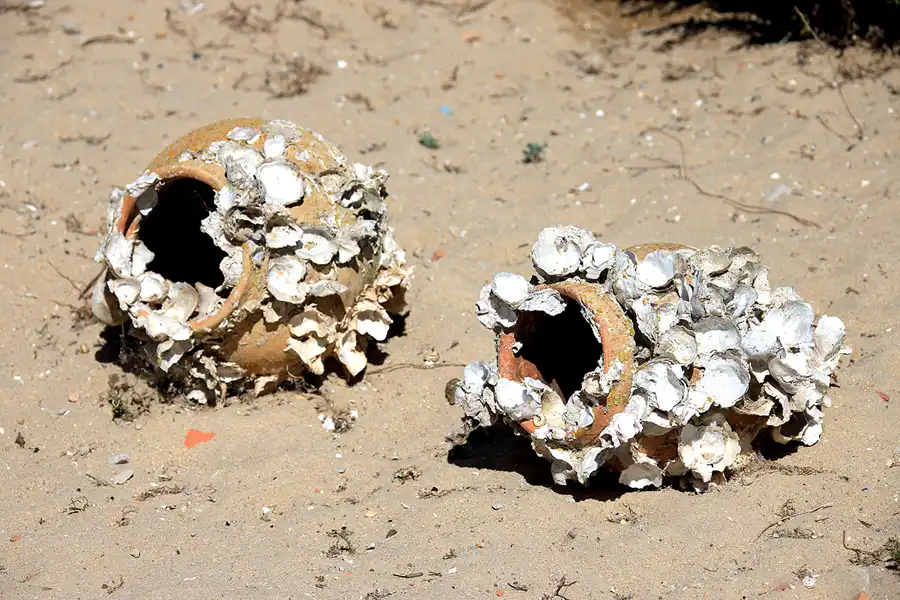 108 | 2023 | Ilha da Culatra | © carsten riede fotografie