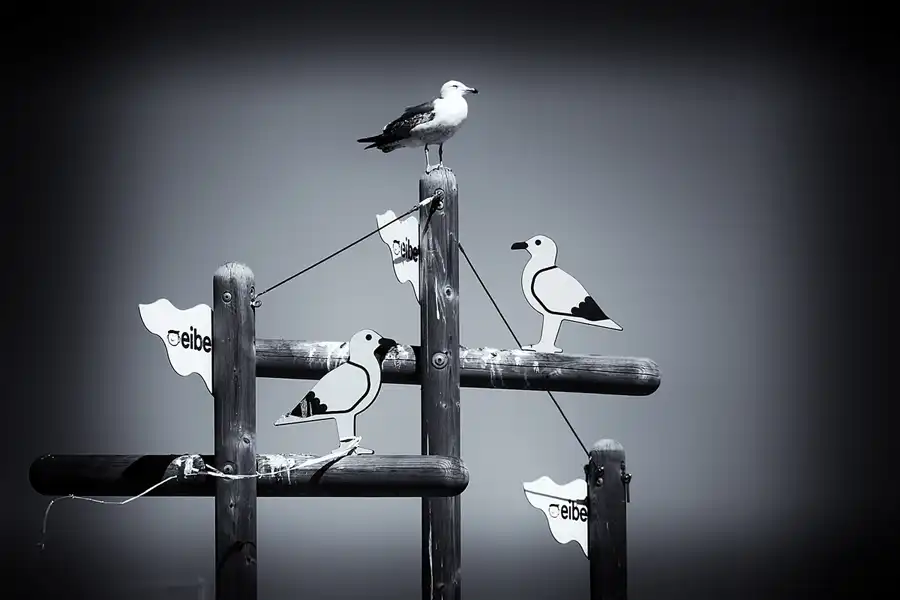 111 | 2023 | Ilha da Culatra | © carsten riede fotografie