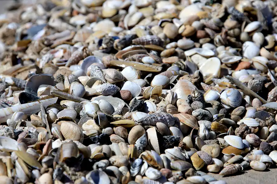 117 | 2023 | Ilha da Culatra | © carsten riede fotografie