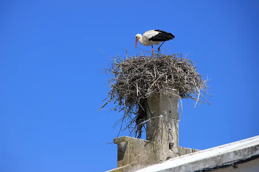 053 | 2023 | Ferragudo | © carsten riede fotografie