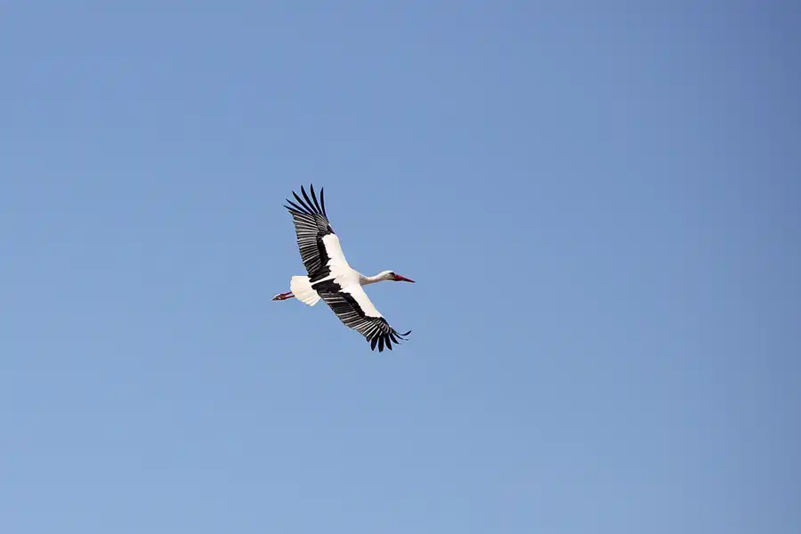 054 | 2023 | Ferragudo | © carsten riede fotografie