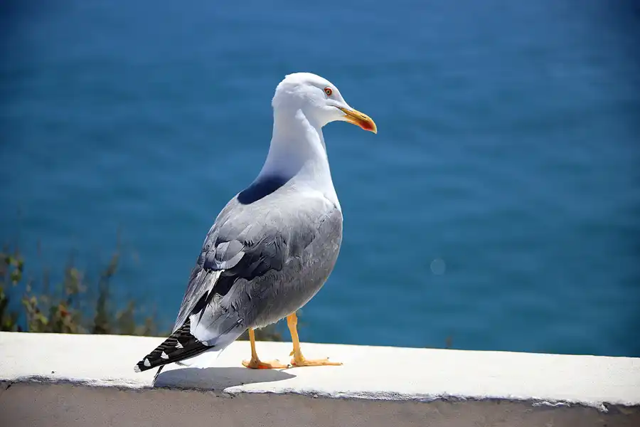 057 | 2023 | Algar Seco  | © carsten riede fotografie
