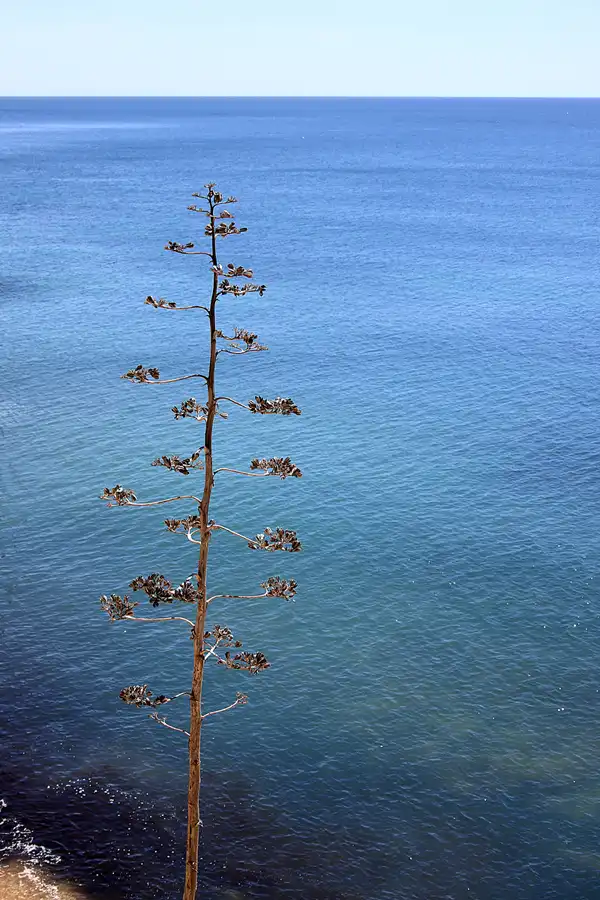 068 | 2023 | Praia Da Marinha | © carsten riede fotografie