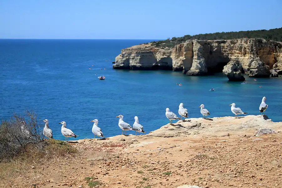 070 | 2023 | Praia Da Marinha | © carsten riede fotografie