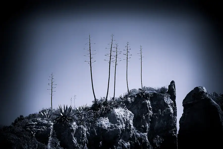 083 | 2023 | Praia Dos Pinheiros | © carsten riede fotografie