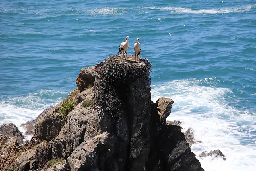 198 | 2023 | Cabo Sardao | © carsten riede fotografie