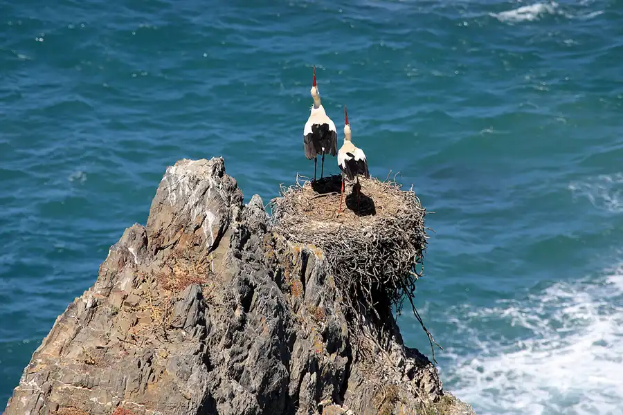 199 | 2023 | Cabo Sardao | © carsten riede fotografie