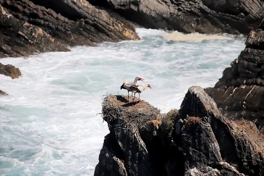 201 | 2023 | Cabo Sardao | © carsten riede fotografie