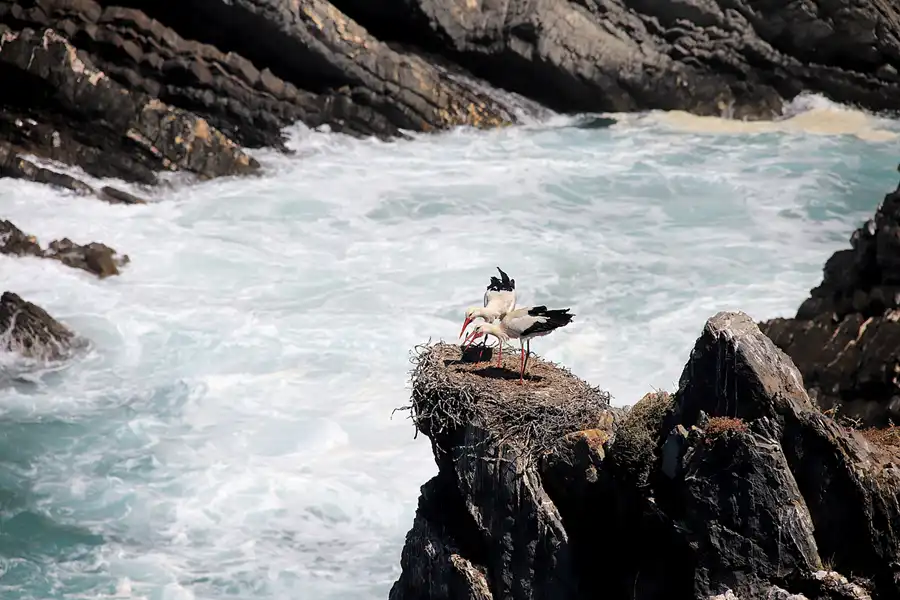 202 | 2023 | Cabo Sardao | © carsten riede fotografie
