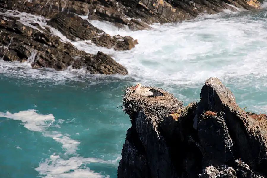 203 | 2023 | Cabo Sardao | © carsten riede fotografie