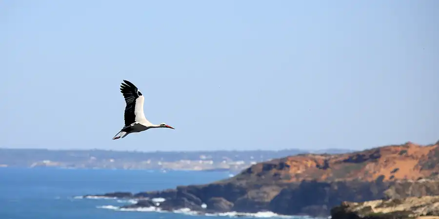 204 | 2023 | Cabo Sardao | © carsten riede fotografie