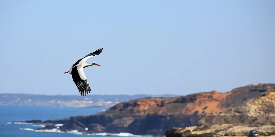 205 | 2023 | Cabo Sardao | © carsten riede fotografie