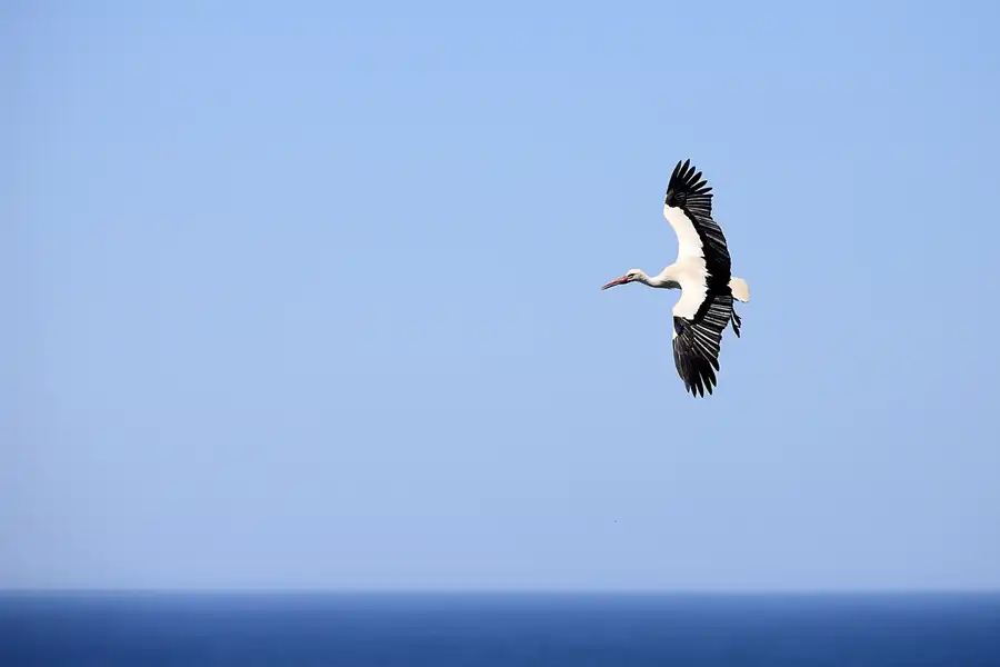206 | 2023 | Cabo Sardao | © carsten riede fotografie