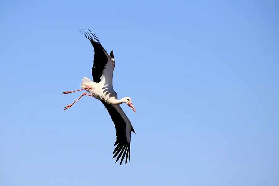207 | 2023 | Cabo Sardao | © carsten riede fotografie