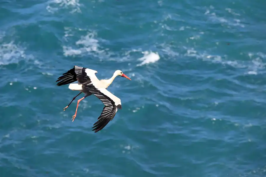 210 | 2023 | Cabo Sardao | © carsten riede fotografie