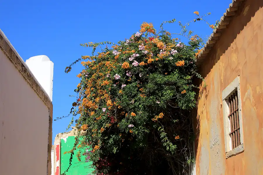 233 | 2023 | Faro | © carsten riede fotografie