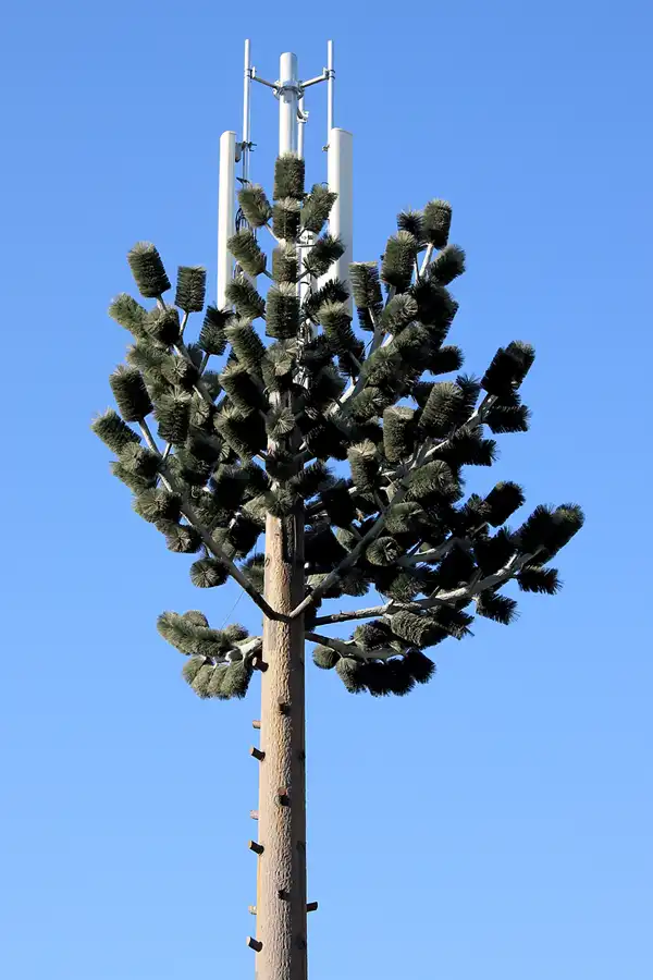 263 | 2023 | Tavira | © carsten riede fotografie