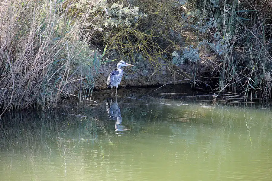 265 | 2023 | Lagoa Dos Salgados | © carsten riede fotografie