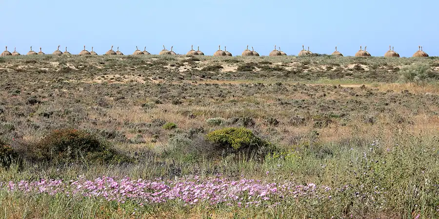 272 | 2023 | Praia Grande De Pera | © carsten riede fotografie