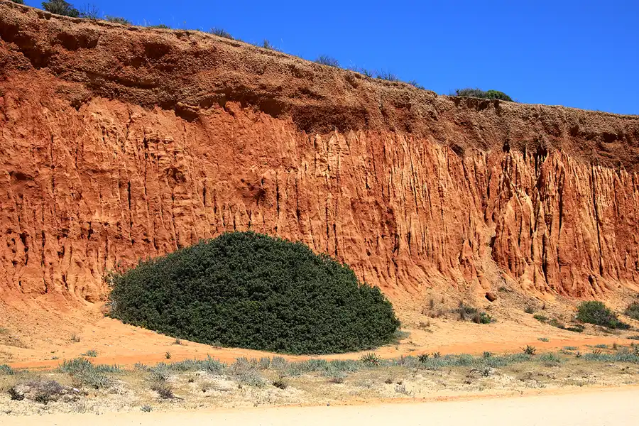289 | 2023 | Praia Da Falesia | © carsten riede fotografie