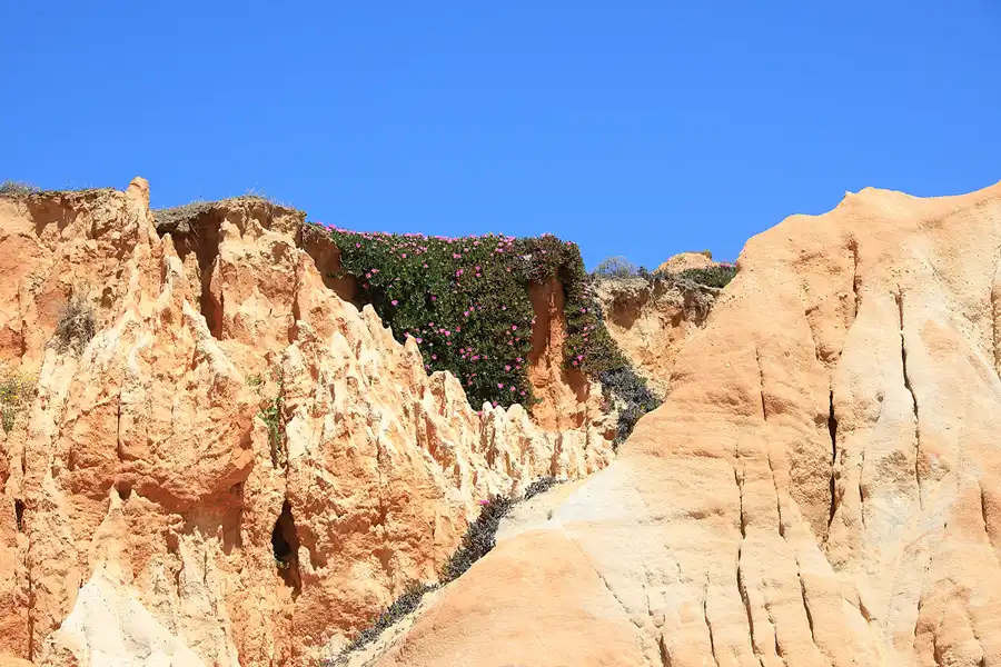 294 | 2023 | Praia Da Falesia | © carsten riede fotografie